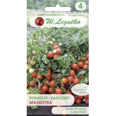 Pomidor - gruntowy - wiotkołodygowy - Maskotka LEGUTKO