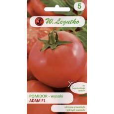 Pomidor gruntowy wysoki - Adam F1 0,3g LEGUTKO